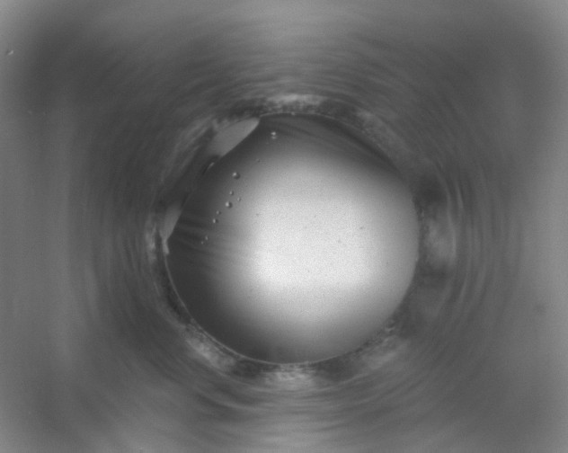 X0000054440668200508121846