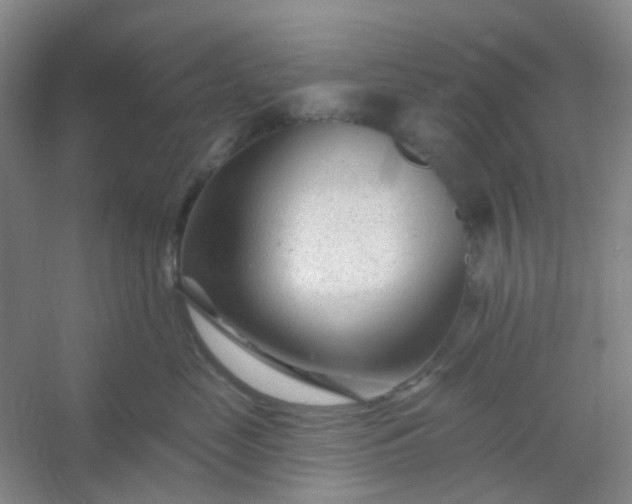 X0000054440669200508121846