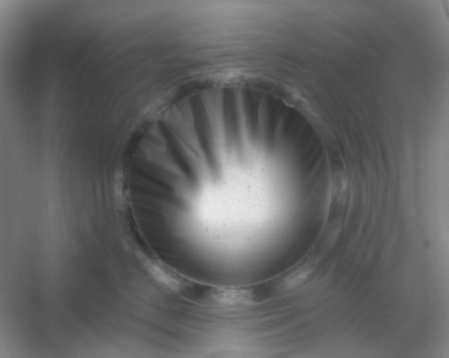 X0000054440670200508121846