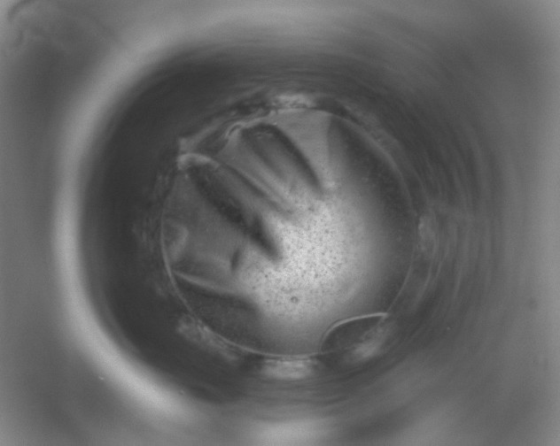 X0000054440671200508121846