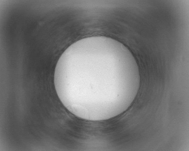 X0000054440672200508121846