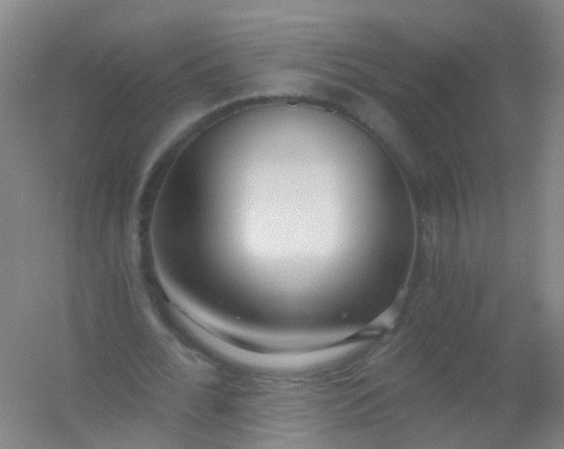 X0000054440676200508121845