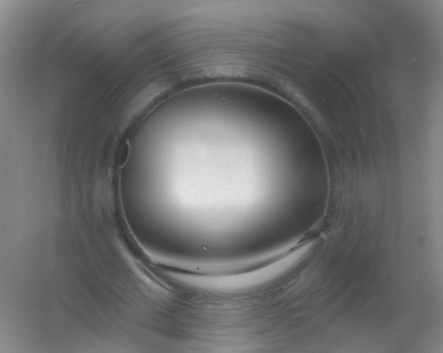 X0000054440677200508121845