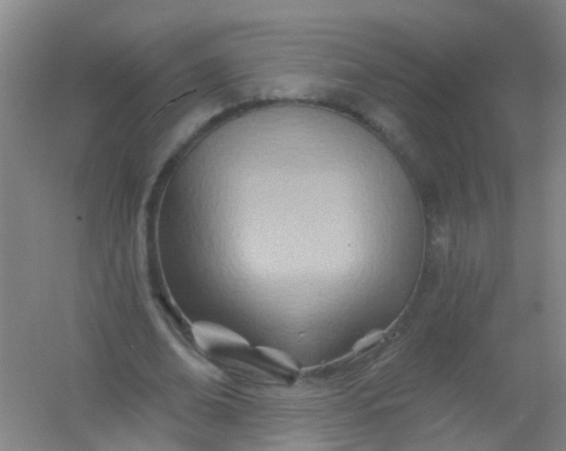 X0000054440678200508121845