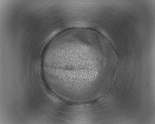 X0000054440679200508121845