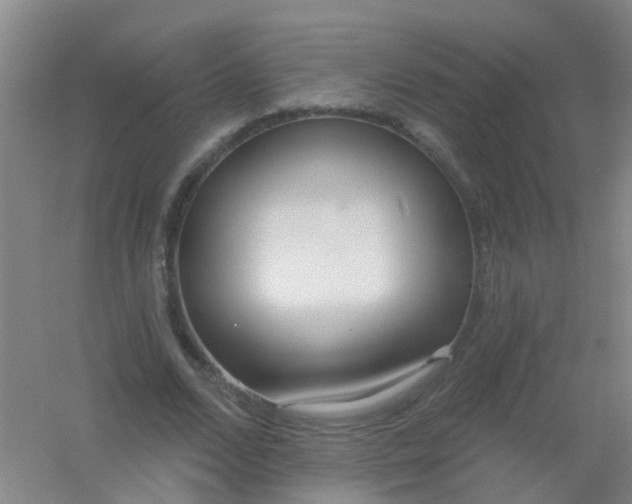 X0000054440680200508121845