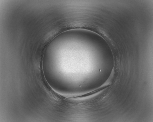 X0000054440681200508121845