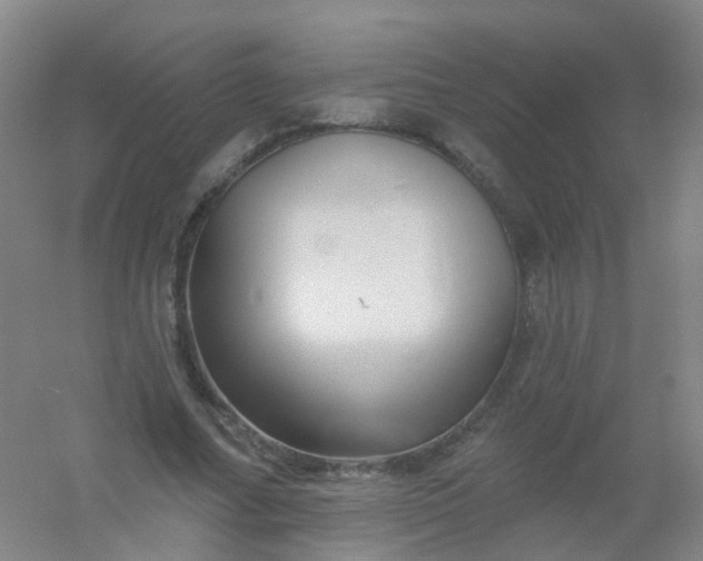 X0000054440682200508121845