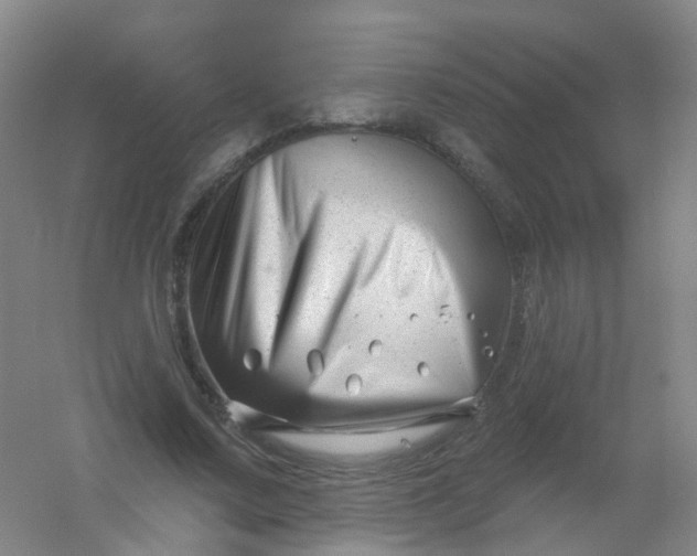 X0000054440683200508121845