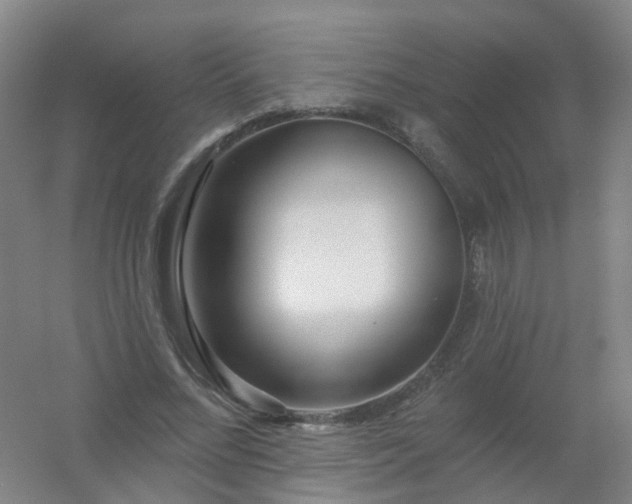 X0000054440684200508121845