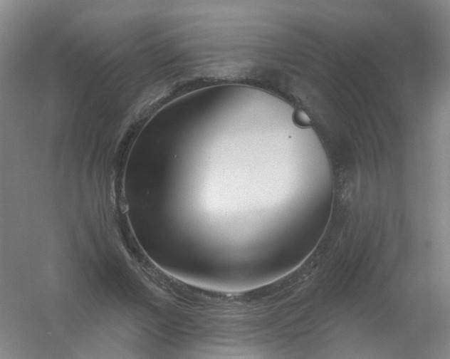 X0000054440685200508121845