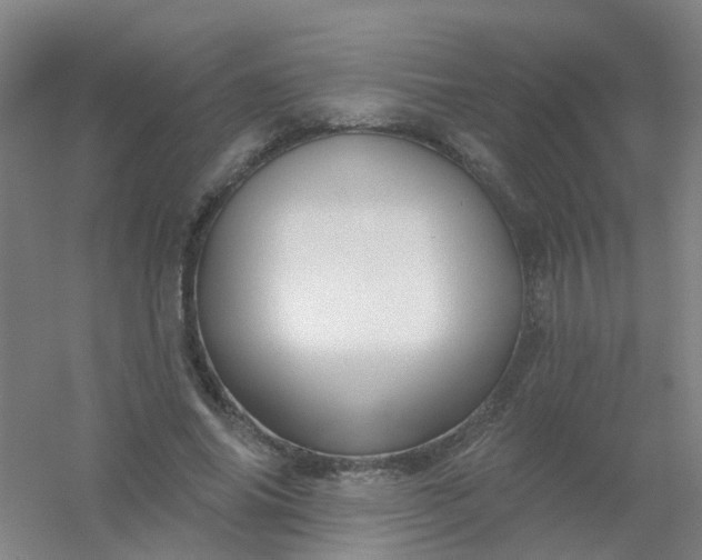 X0000054440686200508121845