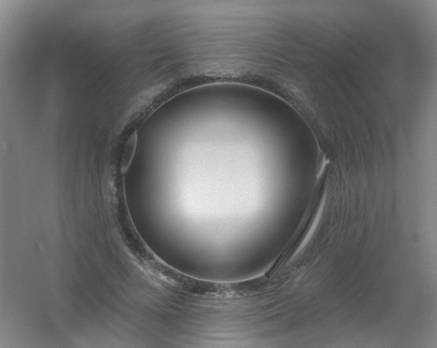 X0000054440688200508121845