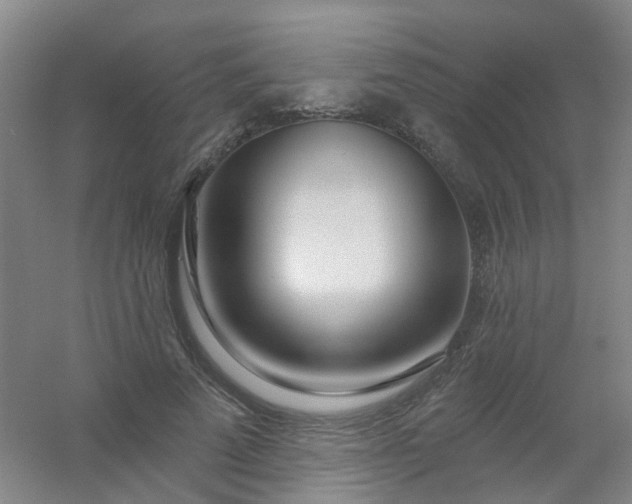 X0000054440689200508121845