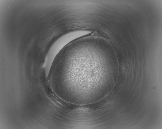 X0000054440691200508121845