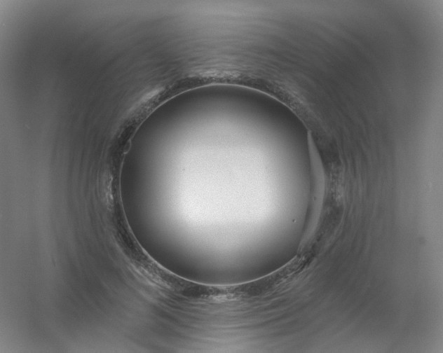 X0000054440692200508121845