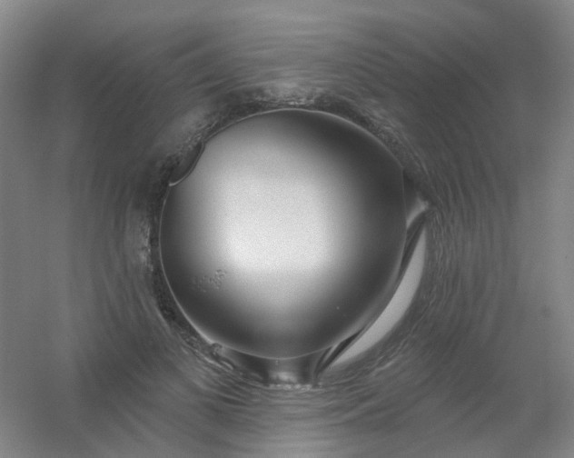 X0000054440693200508121845