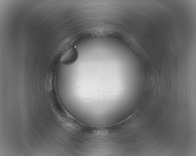 X0000054440694200508121845