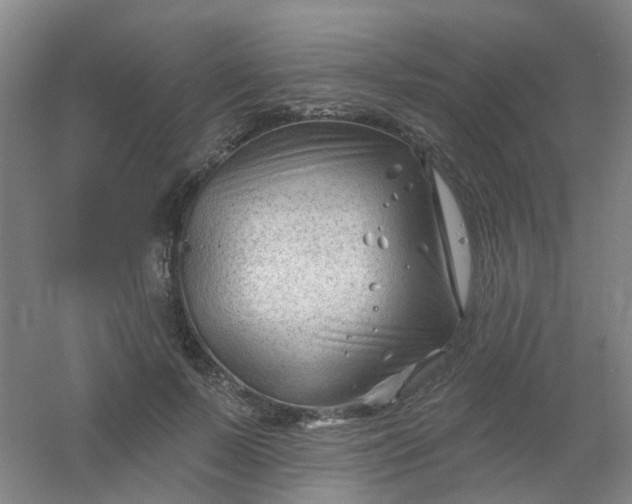 X0000054440695200508121845