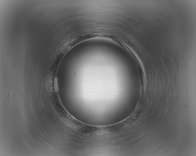 X0000054440696200508121845