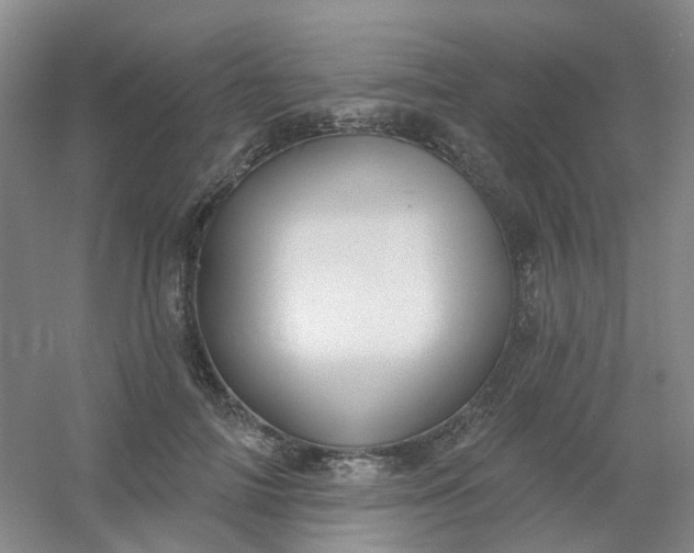 X0000054440698200508121845