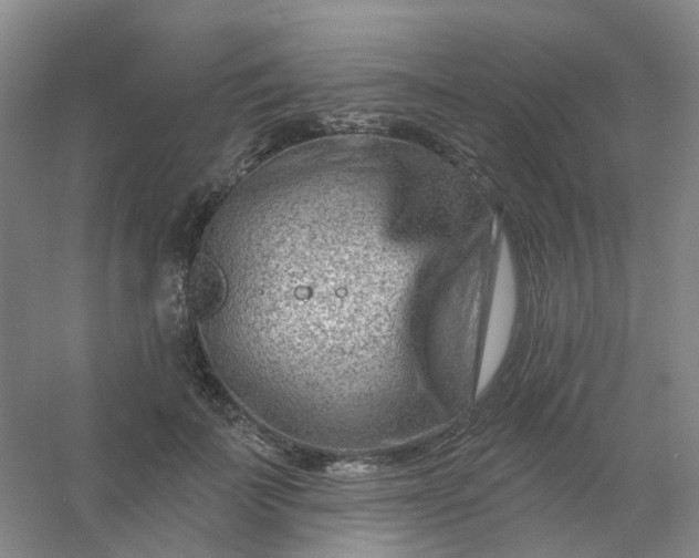 X0000054440699200508121845