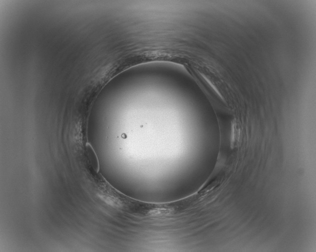 X0000054440700200508121845