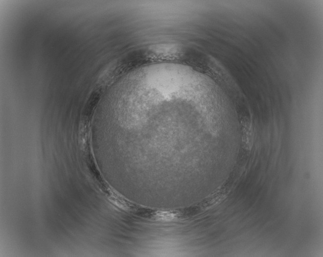 X0000054440701200508121845