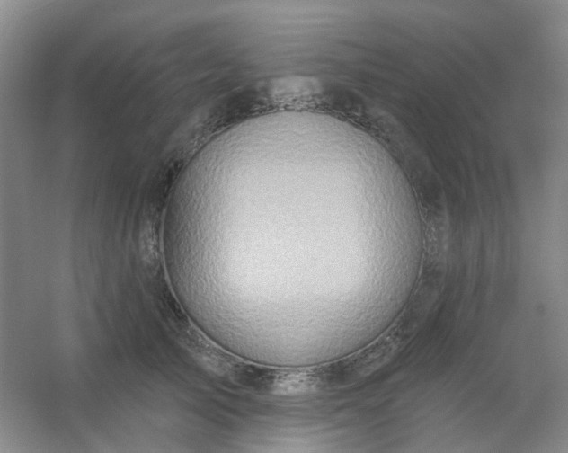 X0000054440705200508121845