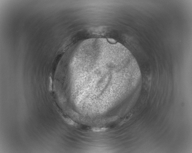 X0000054440707200508121845