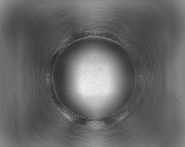 X0000054440708200508121845