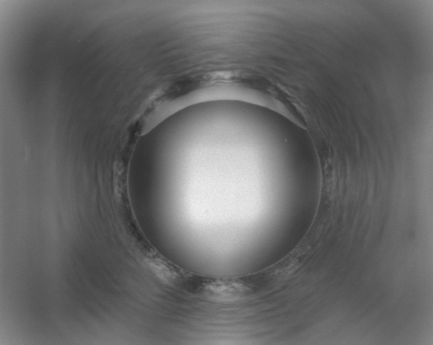 X0000054440712200508121845