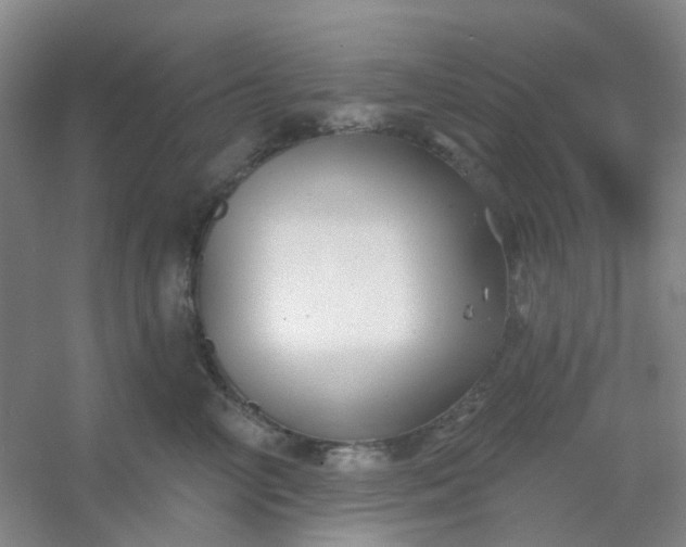 X0000054440714200508121845