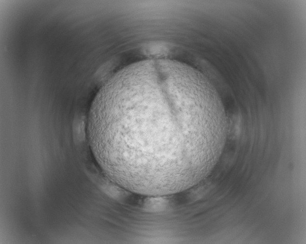 X0000054440717200508121844