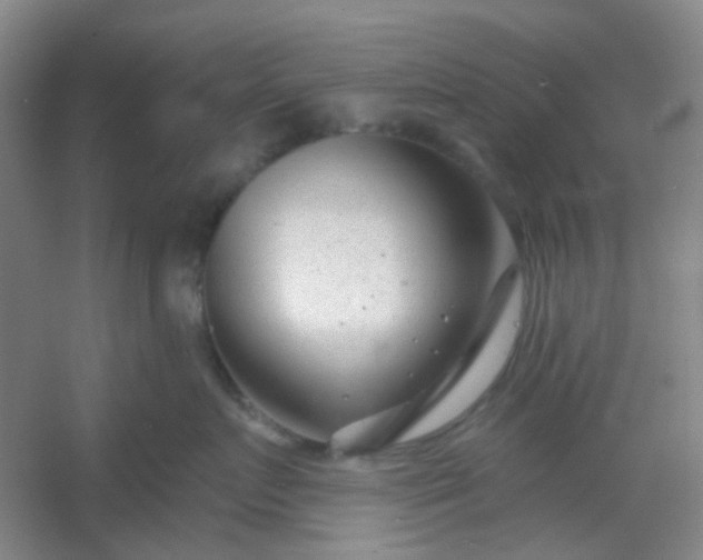 X0000054440719200508121844