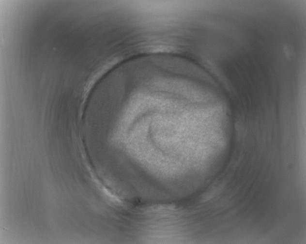 X0000054440721200508121844