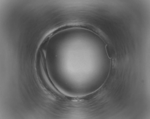 X0000054440724200508121844