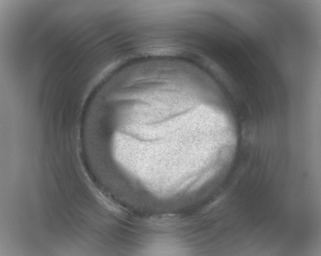 X0000054440725200508121844