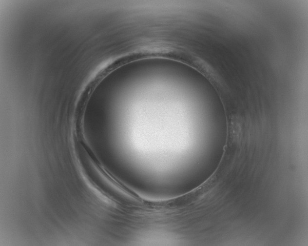 X0000054440726200508121844