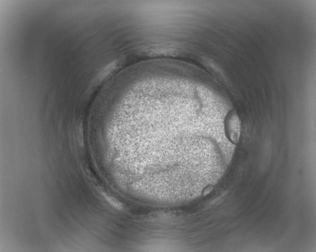 X0000054440729200508121844