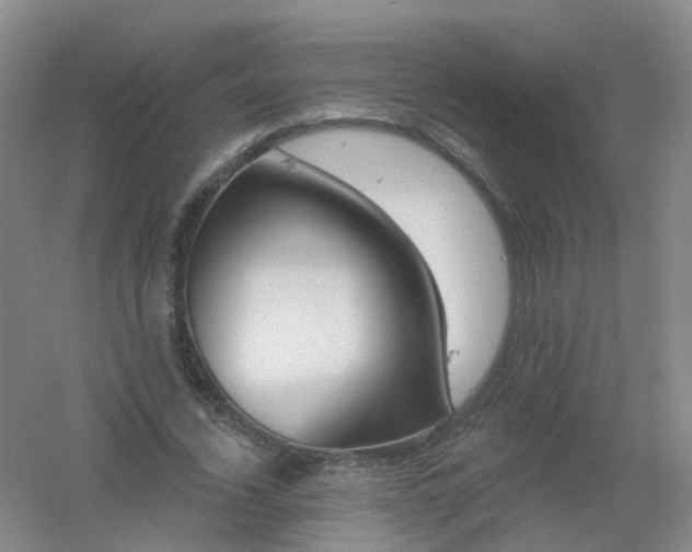 X0000054440732200508121844