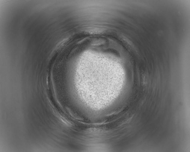 X0000054440733200508121844