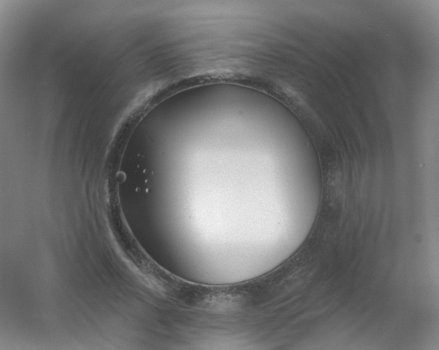 X0000054440734200508121844