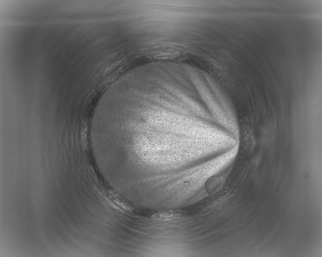 X0000054440745200508121844