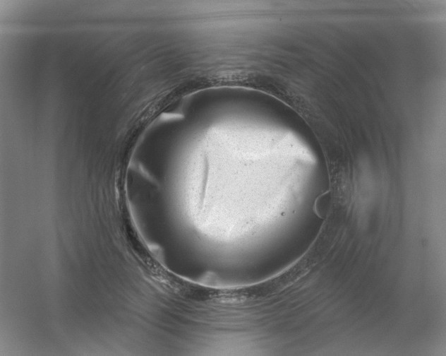 X0000054440746200508121844