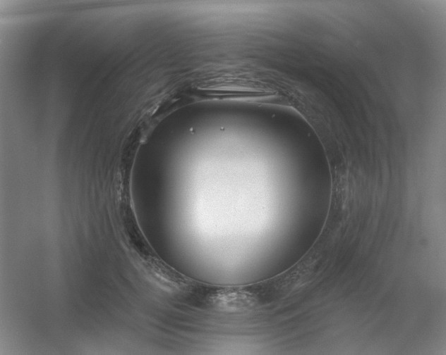 X0000054440752200508121844