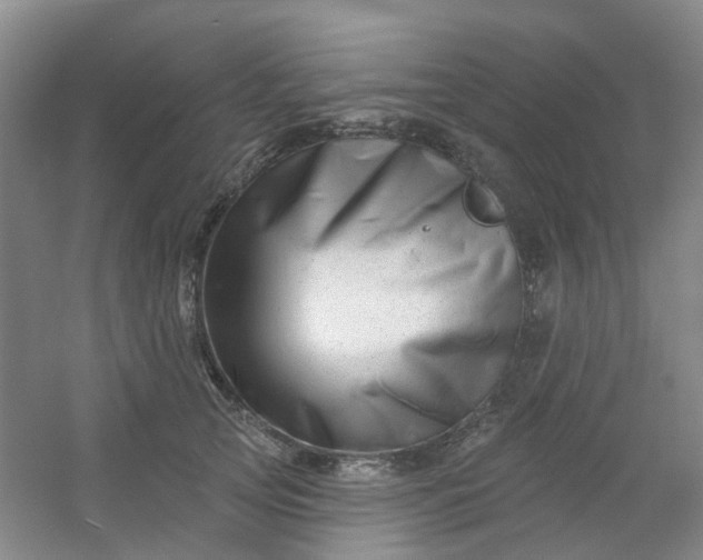 X0000054440753200508121844