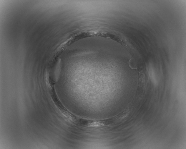 X0000054440754200508121844