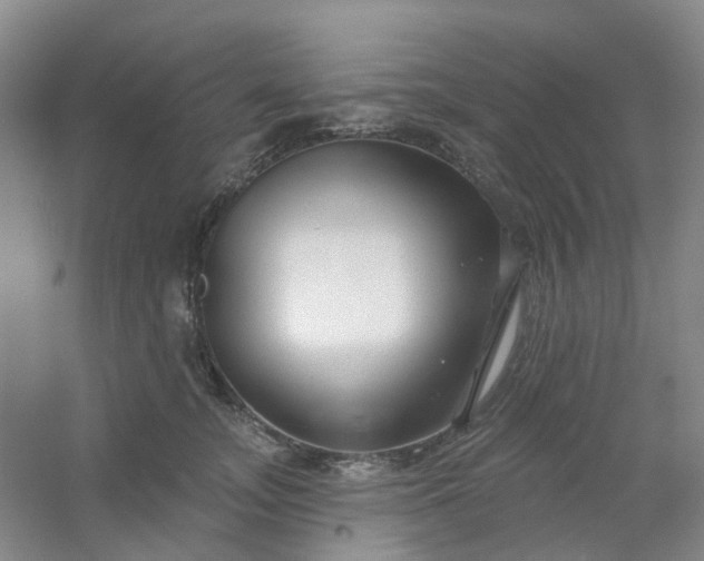 X0000054440755200508121844