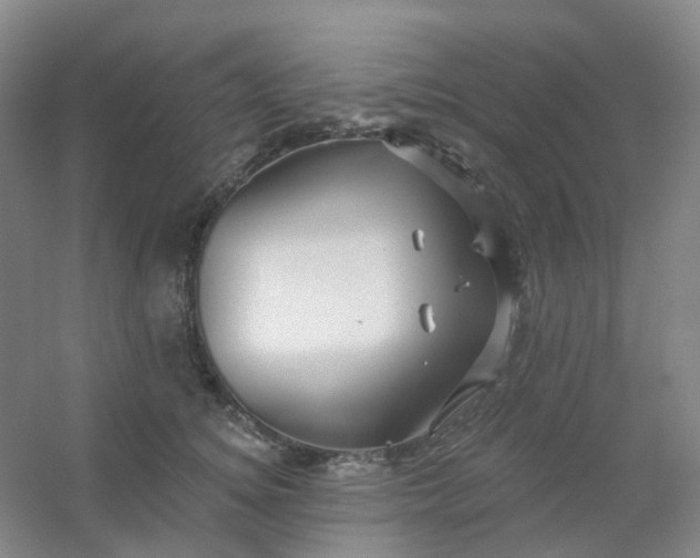 X0000054440756200508121844